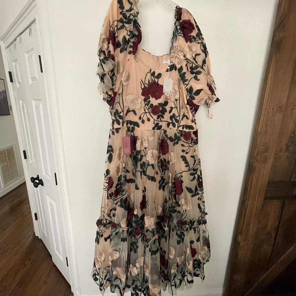 Beautiful Ivy City Co dress